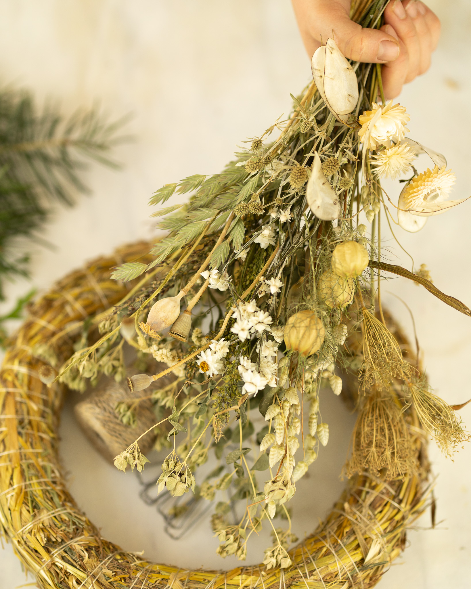 Regionaler Adventskranz mit Trockenblumen in Weiß | DIY Box