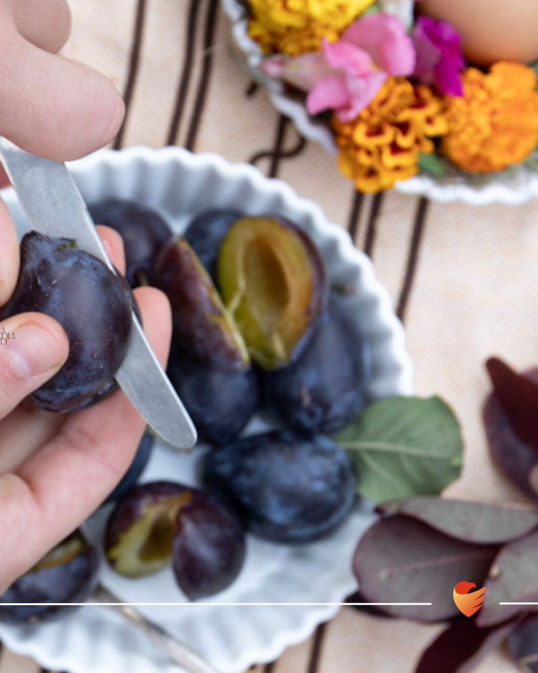 Plated: Southside - Oktober 2025