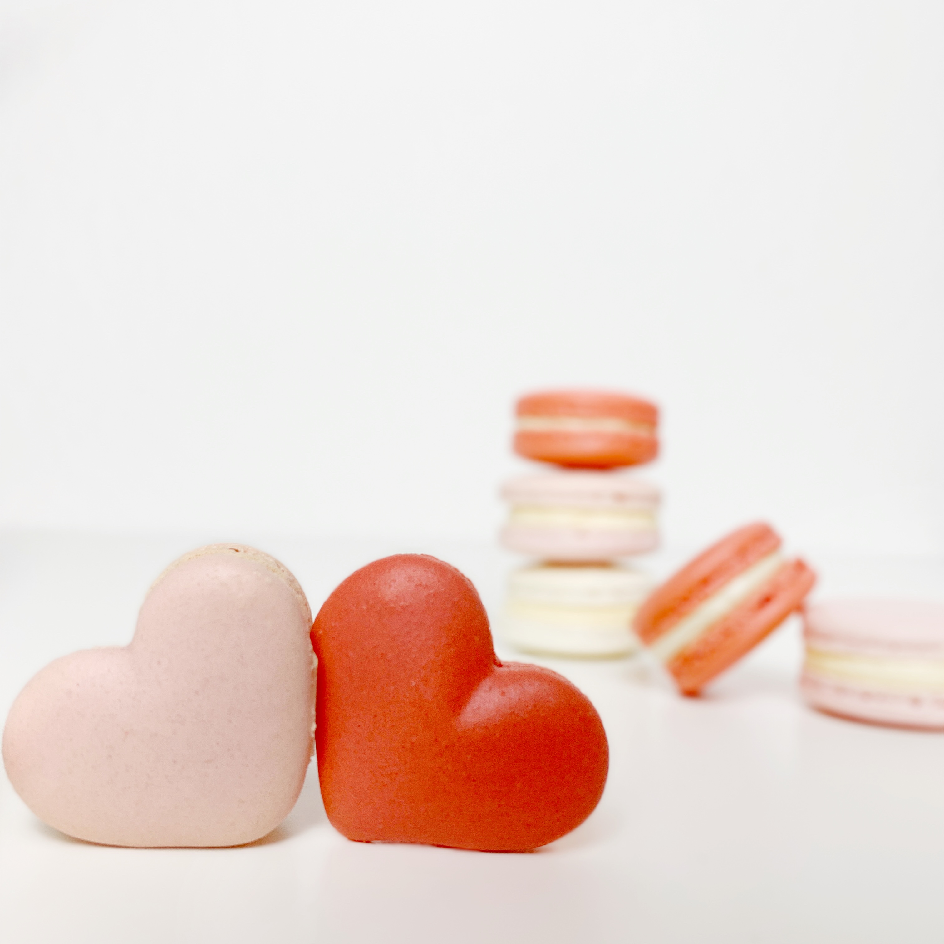 GreifMacarons 6er Box